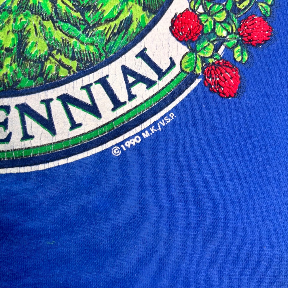 Vintage 1990 Vermont T Shirt USA Made Hanes Fifty Fifty Blue Graphic Tee Large - Picture 3 of 9